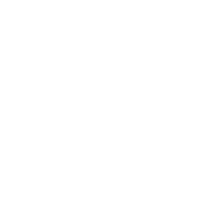 GoForth 2024 white