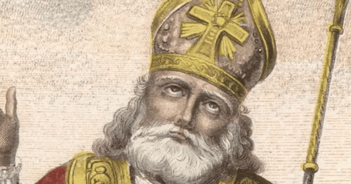 St Nicholas - FOCUS