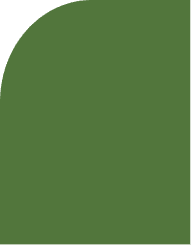 Vector.png