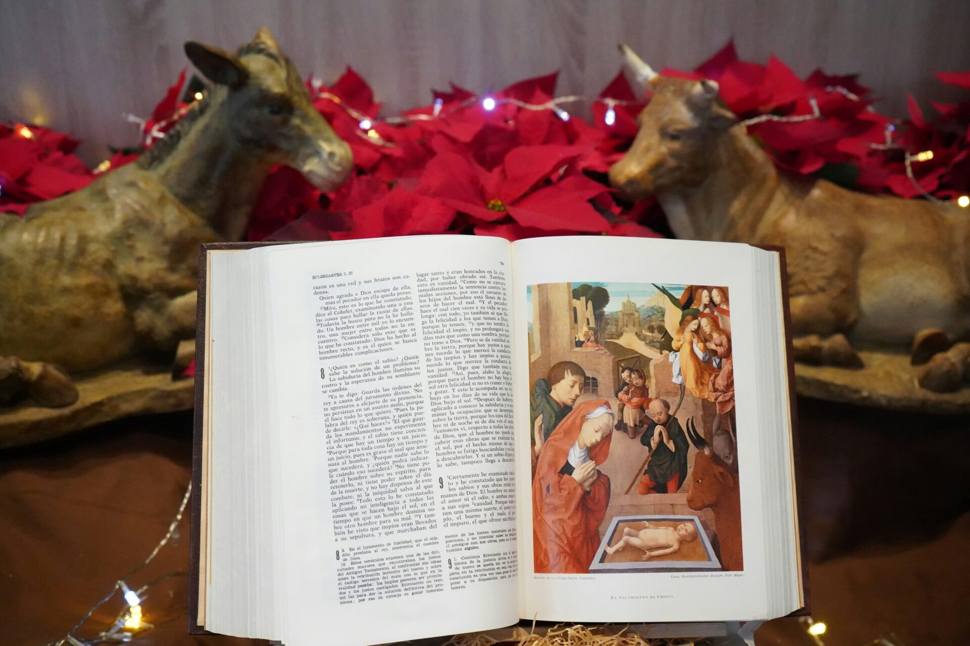 lennon caranzo K wmWWHO9oc unsplash lennon caranzo K wmWWHO9oc unsplash