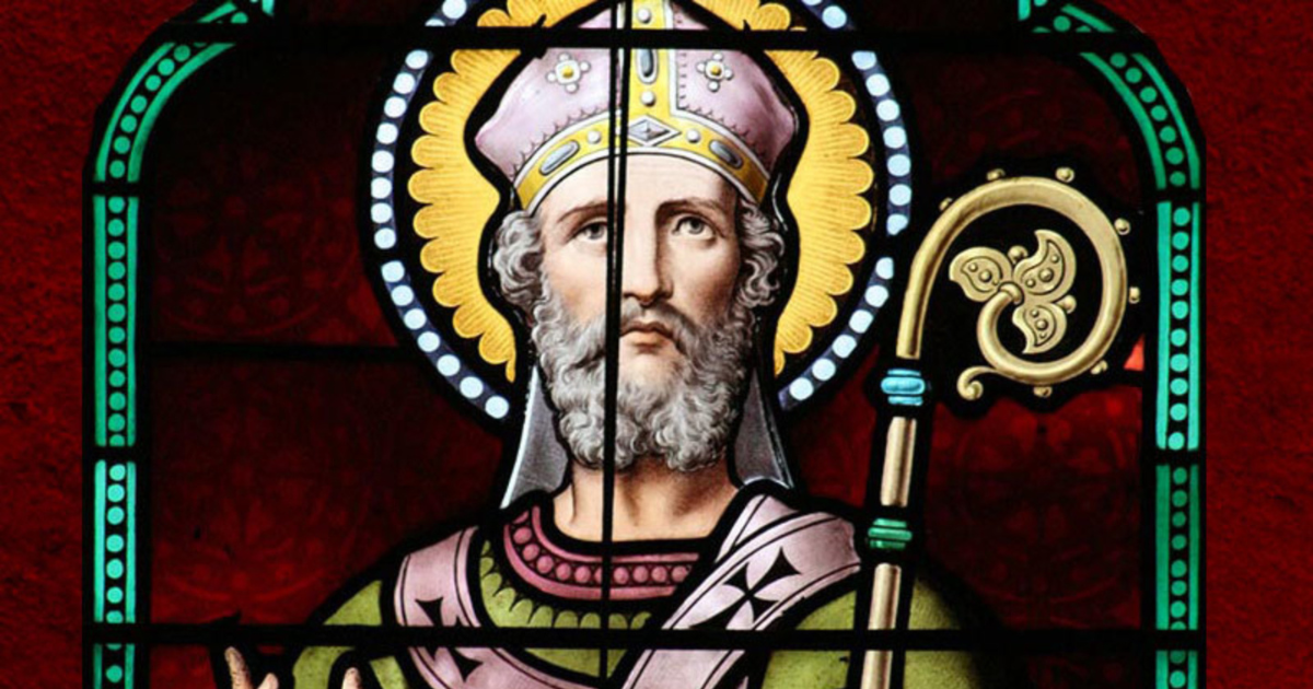 St Anselm - FOCUS