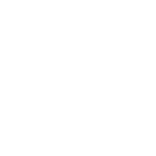 Focus Logo Mark